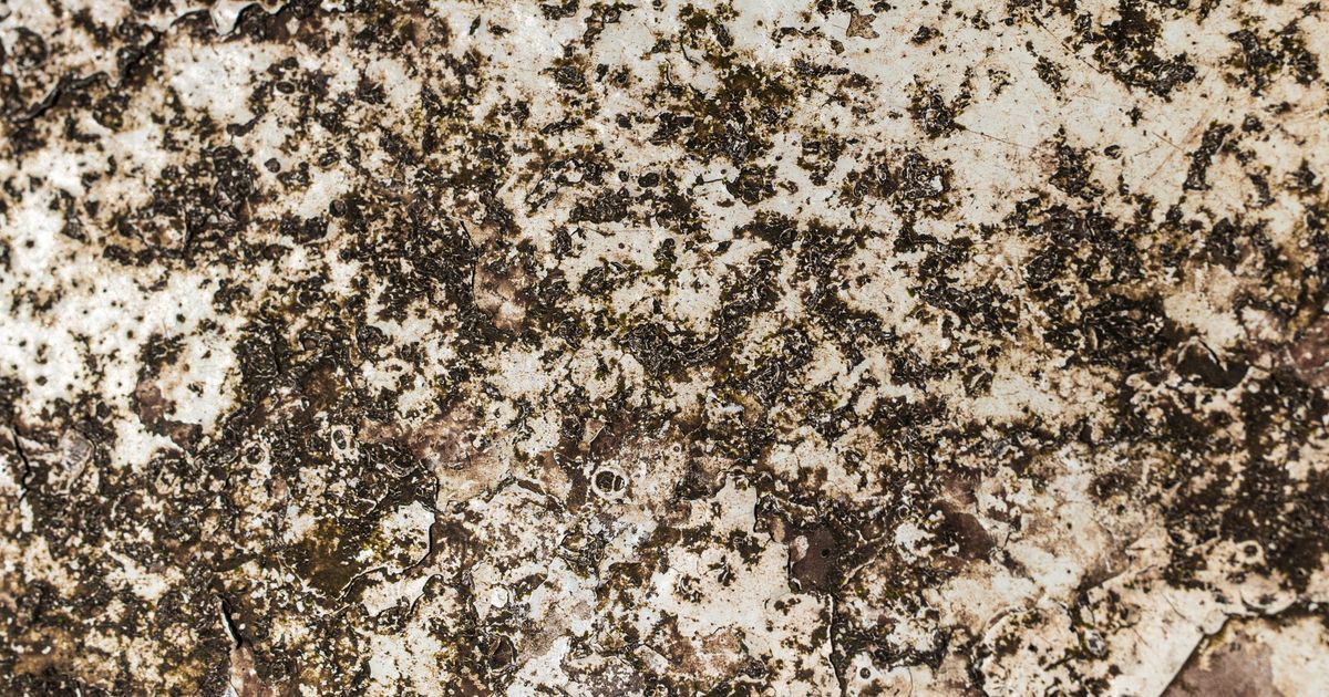 Sûreté mémoire avec l&rsquo;ownership et l’emprunt de Rust